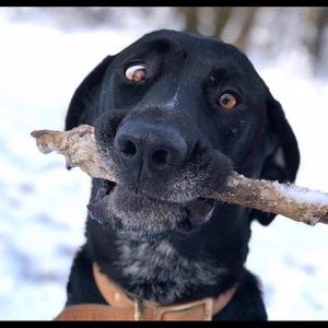 Meet your Posher, Mario